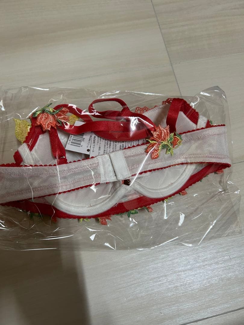 サルートsalute11G 中国の花嫁ブラショーツソングセット　Ｂ６５
