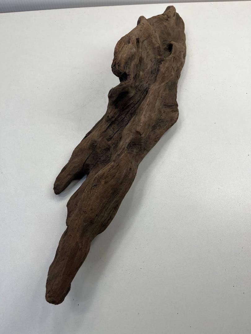 k42アク抜き済み流木 爬虫類シェルター レイアウト用 インテリア エアプランツ