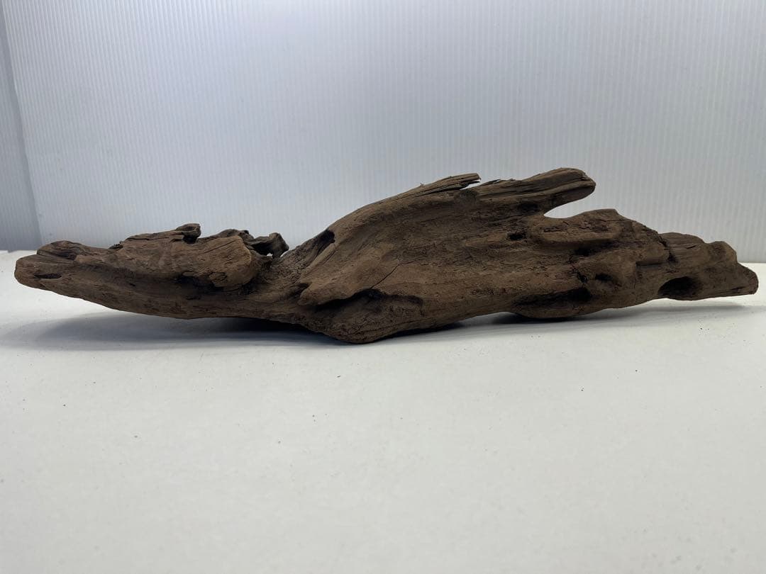 k42アク抜き済み流木 爬虫類シェルター レイアウト用 インテリア エアプランツ