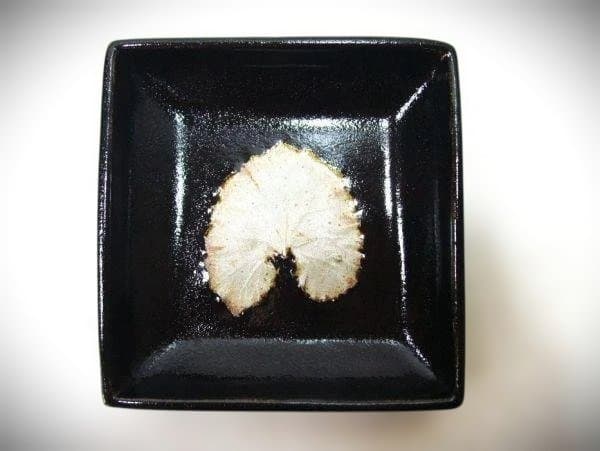 十三代中里太郎右衛門 唐津焼 木ノ葉文 鉢 5枚 茶道具 菓子皿