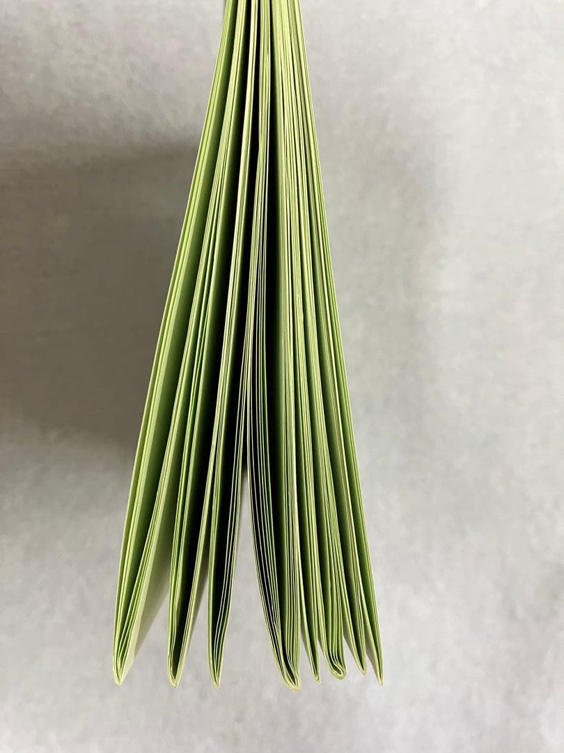 オリジナル問題集 (最新版全63冊)赤本＋緑本(全8冊)　伸芽会