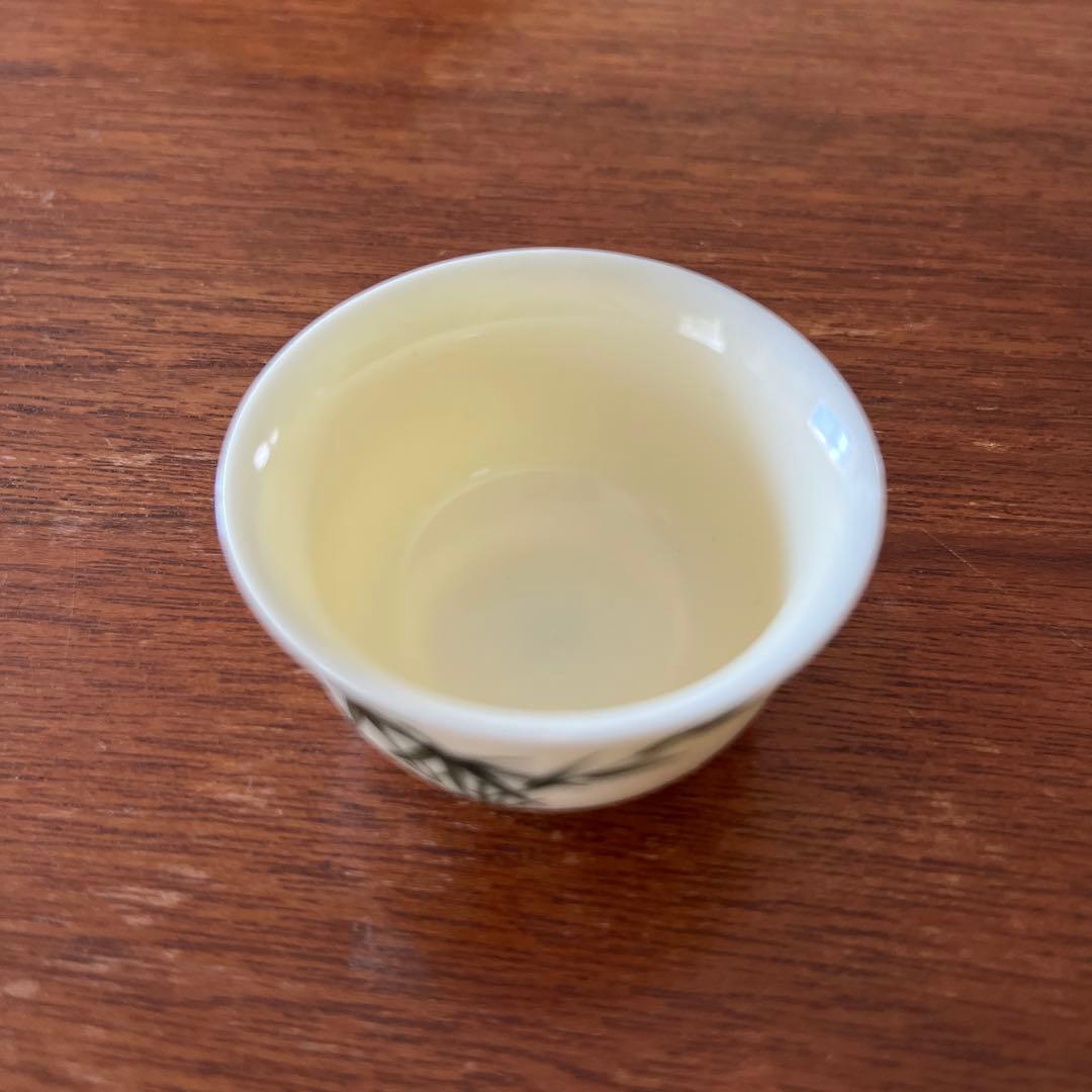 陶器製中国茶器セット（急須・茶杯2個）