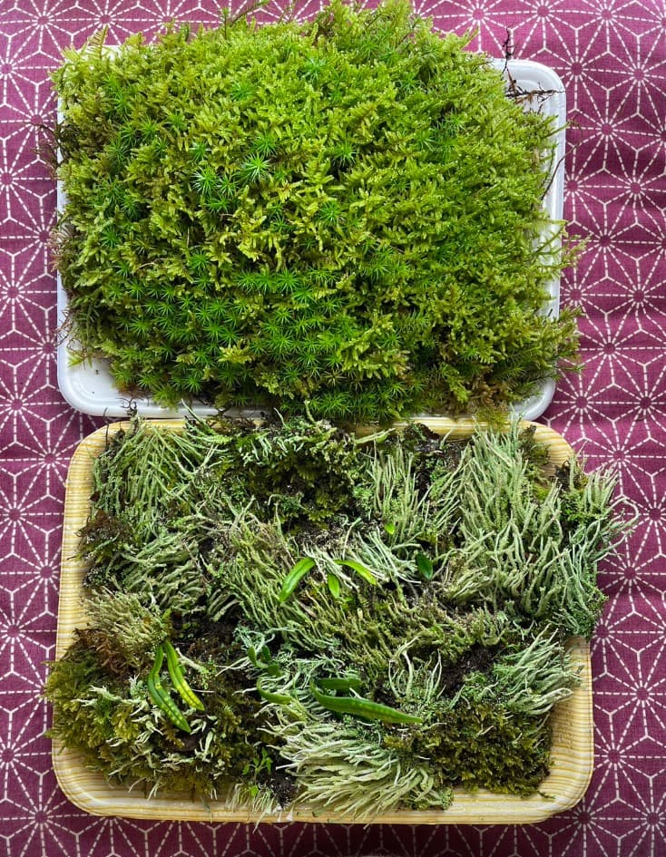 F藍吹雪様　確認用ページ