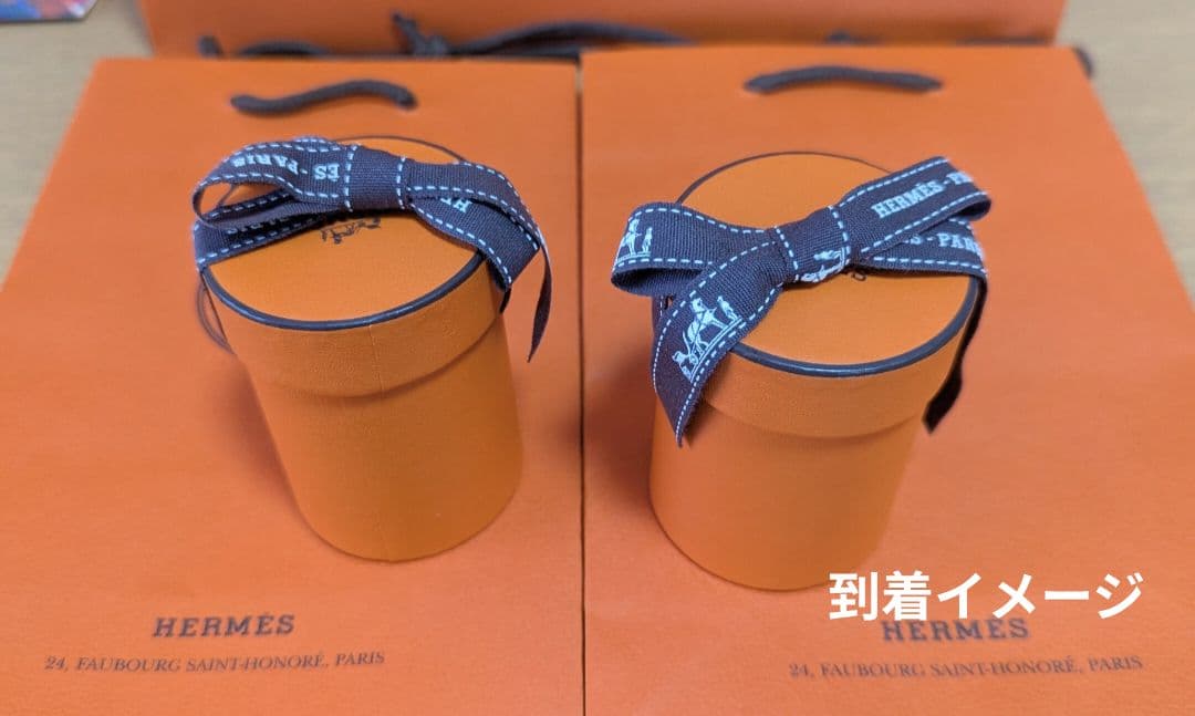 タグ付いたままの完全新品未使用♦男女兼用♦エルメス2025秋冬新作ツイリー