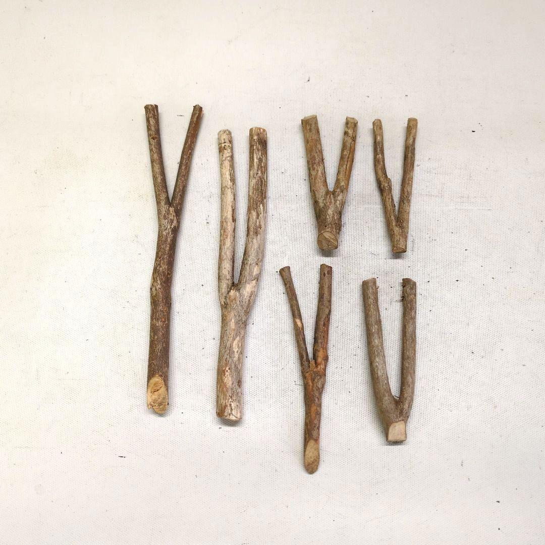 根付き二重生　又木付き　池坊好み　池坊花器