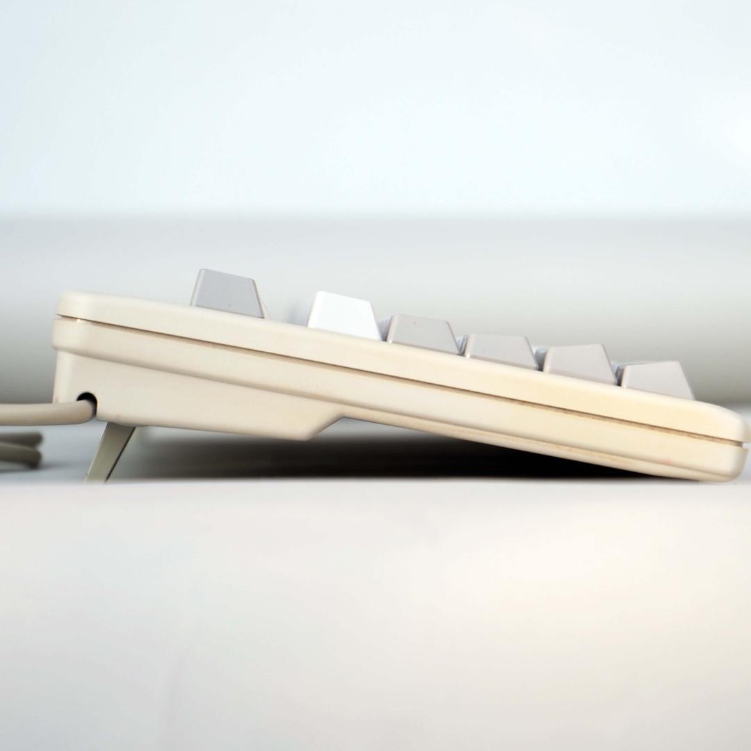 大*魚様 【キートップ洗浄済】Realforce 101 英語配列 （その1）