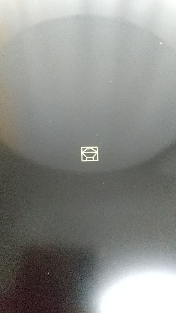 新品未使用 宮内庁御用達 漆器 山田平安堂 龍牙 プレート(大)