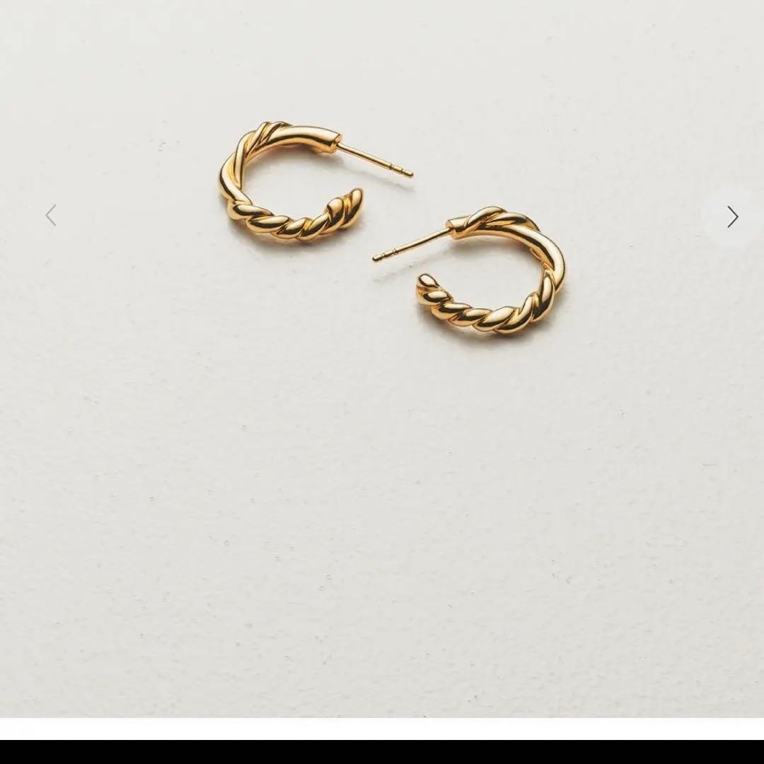 アクセサリー Fauvirame rootsearrings