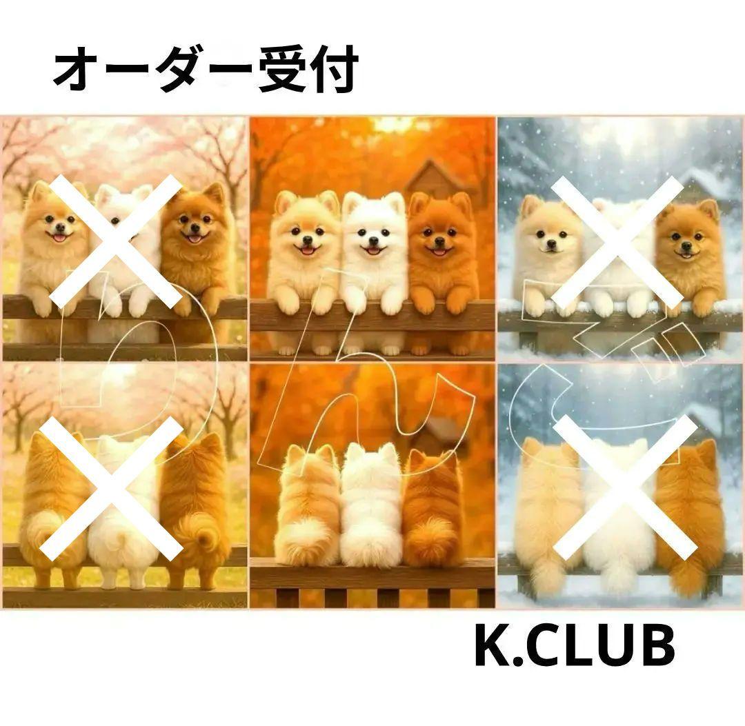 オーダー受付　ポメラニアン　ご予約ページ　11/9