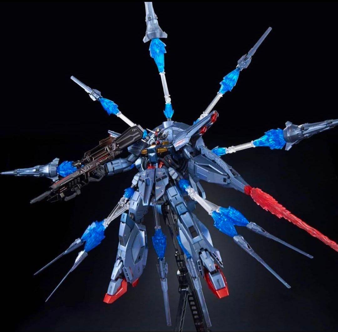 【新品未開封】ＭＧ1/100 プロヴィデンスガンダム [スペシャルコーティング]