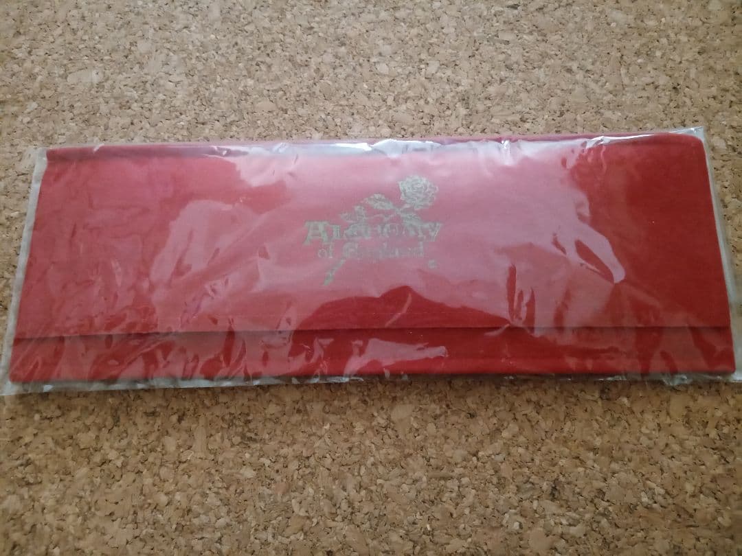 【動作未確認品】Alchemy AW13 pierreries Du Mort