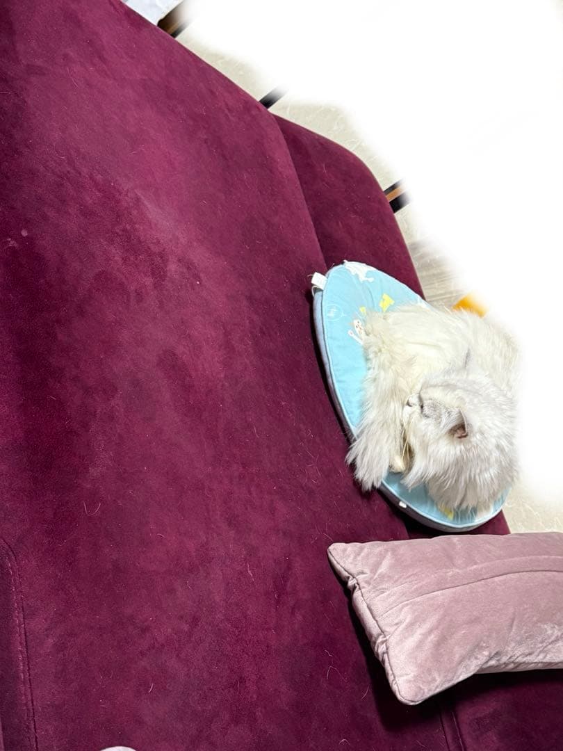 大型ワインレッド L字型ソファ　2024年10月に購入　使用期間一年