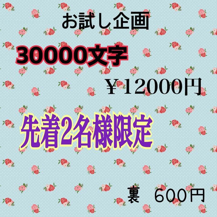 先着2名様限定！ 30000文字数 夢 小説 オーダー11月再開