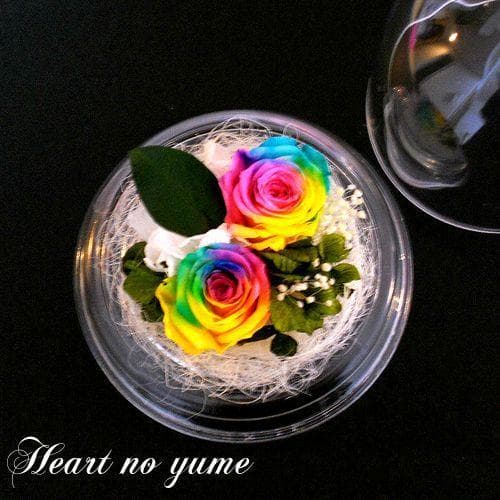 楽天 Amazon Yahooランキング1位☆✿ ♬ レインボーローズプチドーム