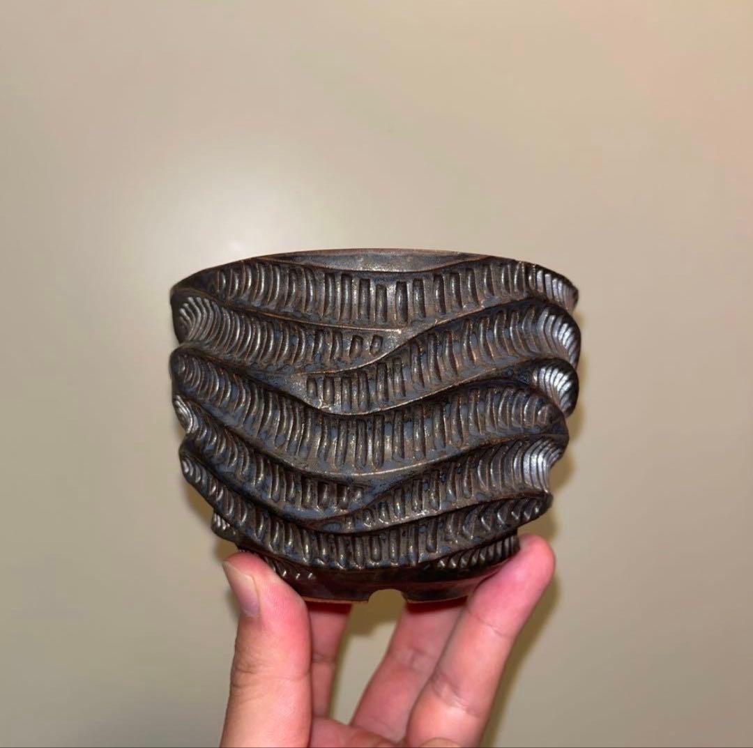 M SIZE 盆栽鉢 作家鉢 陶器 真柏 糸魚川真柏 皐月 五葉松 黒松 長寿梅