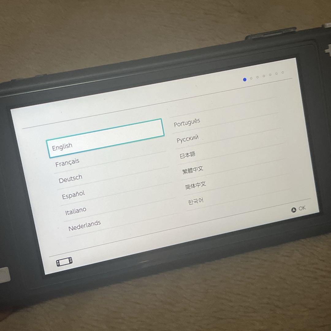 Nintendo Switch Lite グレー 本体 充電器付き　動作確認済み