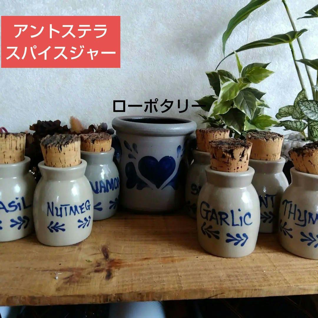 カントリー雑貨　アントステラスパイスジャセット 7個セット＆ローポタリー