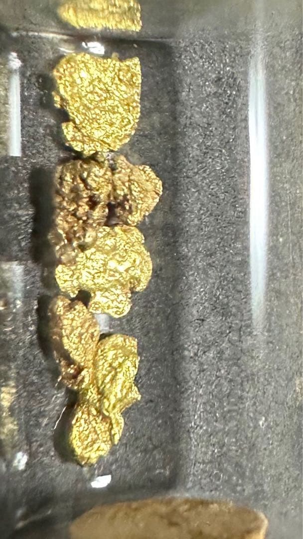 自然採取 金粒（粒状・不定形）観賞・資料用