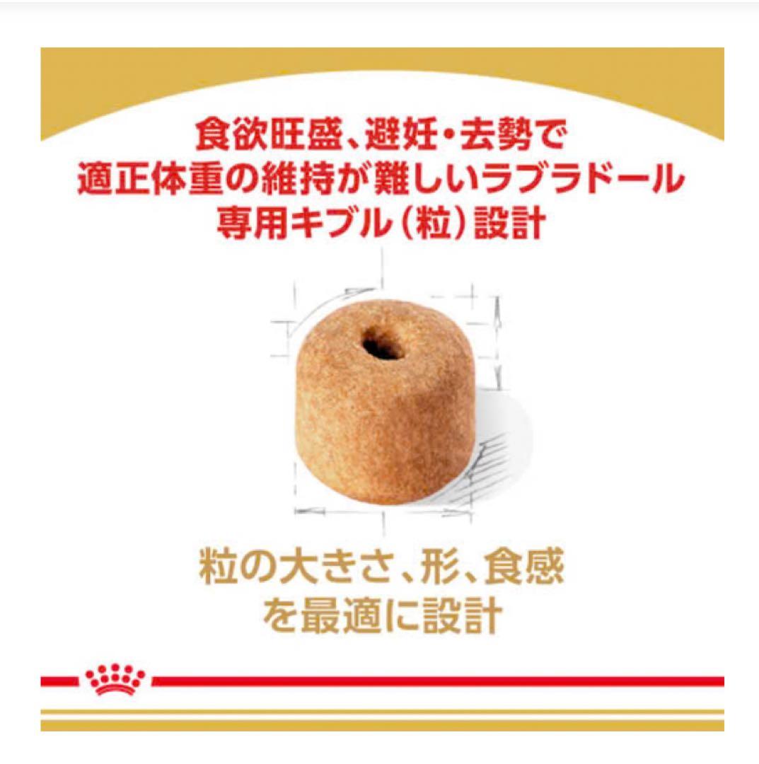 のんちゃん