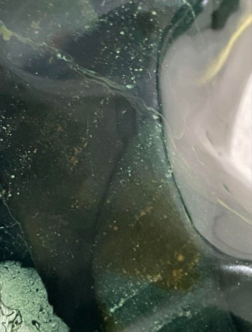 出雲石 碧玉 鑑賞石 原石 鉱石