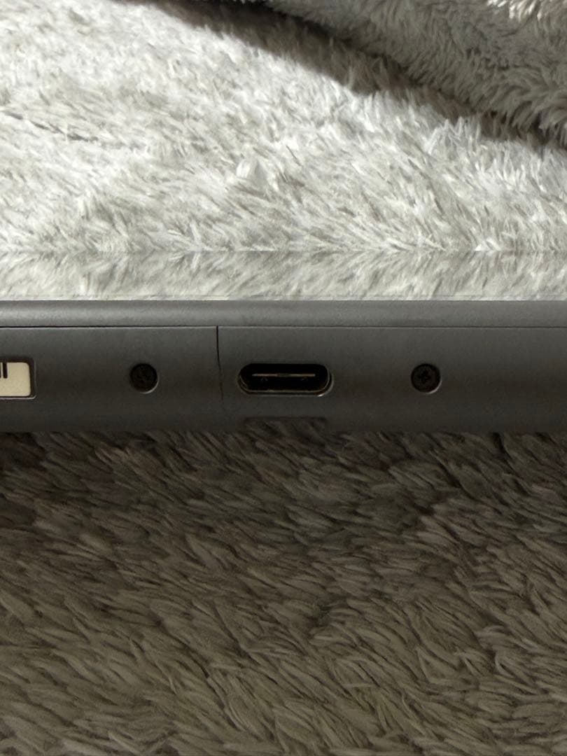 ニンテンドースイッチライト グレー 正常動作品