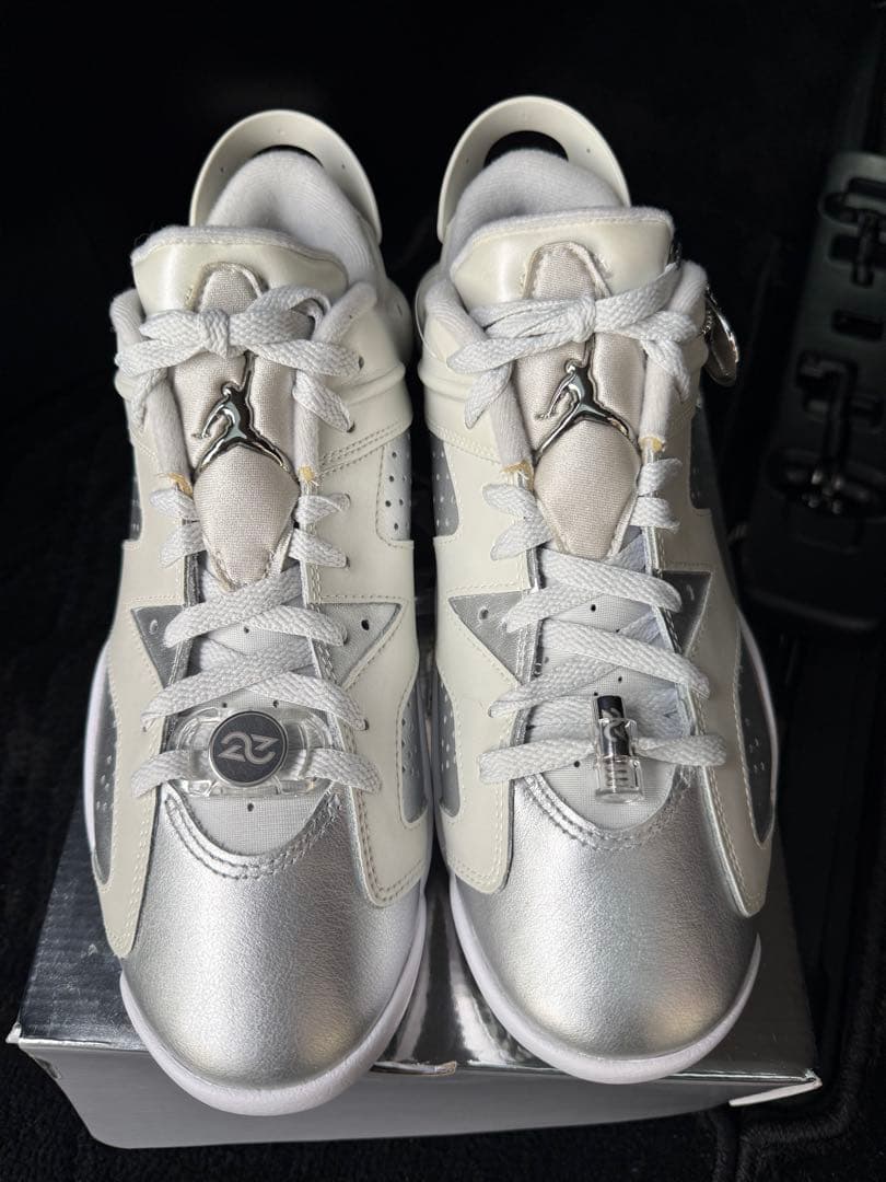 シューズ(男性用) Nike Air Jordan 6 Retro Low Golf 27cm