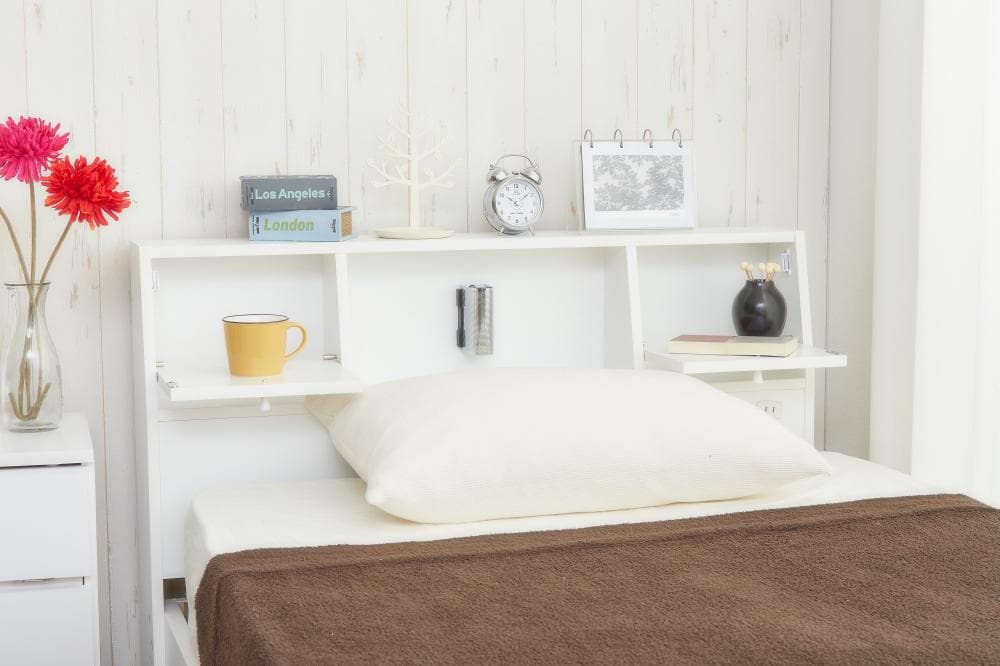 【シングル】Alloys(アロイス)引出し付ベッド  +【マットレス】