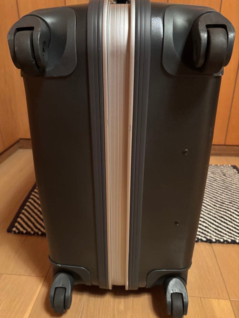 ACE Proteca プロテカ エキノックス TL 87L 4輪 スーツケース