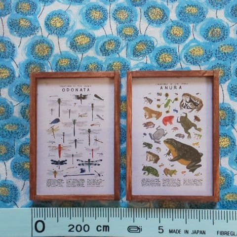 展示＊値下げ中！ミニチュア ポスター