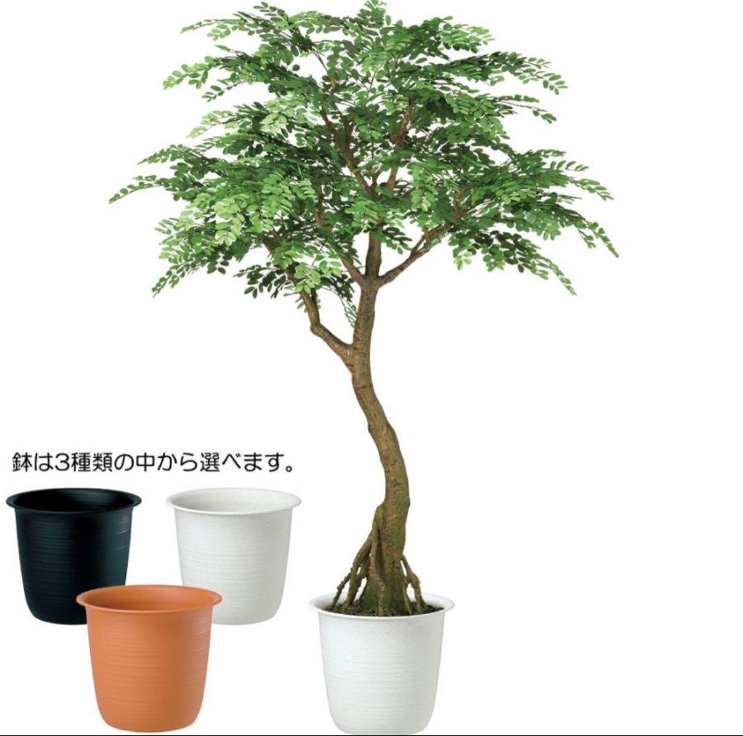 光触媒　人工観葉植物　ウォールグリーン　フェイクグリーン　アカシアコアッド花器付