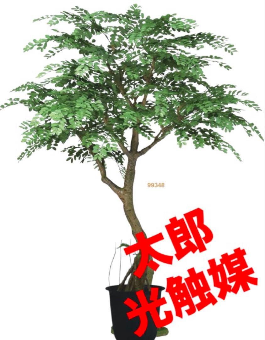 光触媒　人工観葉植物　ウォールグリーン　フェイクグリーン　アカシアコアッド花器付