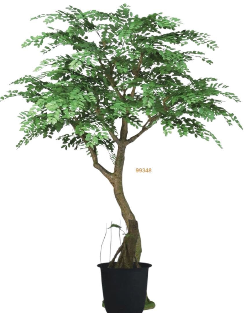 光触媒　人工観葉植物　ウォールグリーン　フェイクグリーン　アカシアコアッド花器付