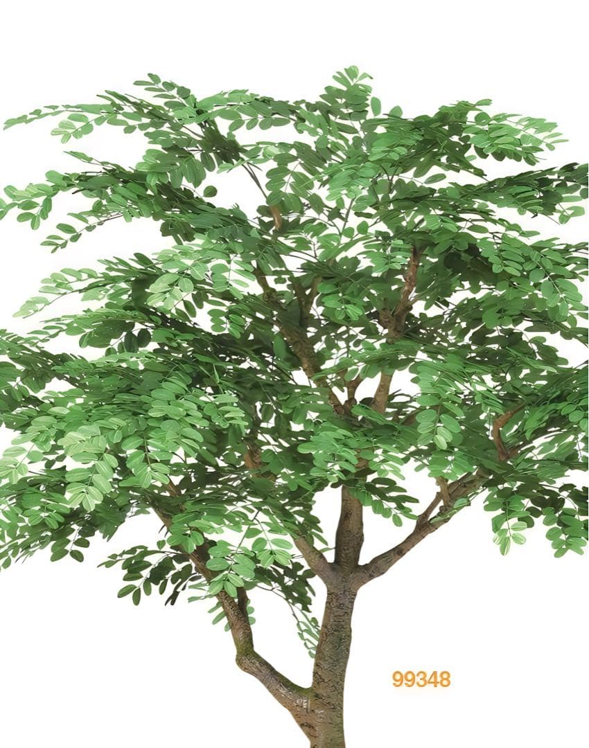 光触媒　人工観葉植物　ウォールグリーン　フェイクグリーン　アカシアコアッド花器付