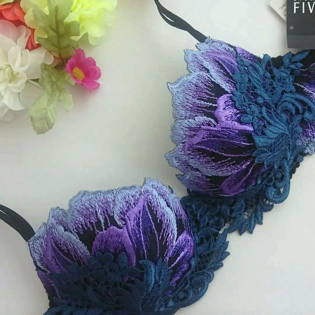 新品☆スタディオファイブ Ｄ７０