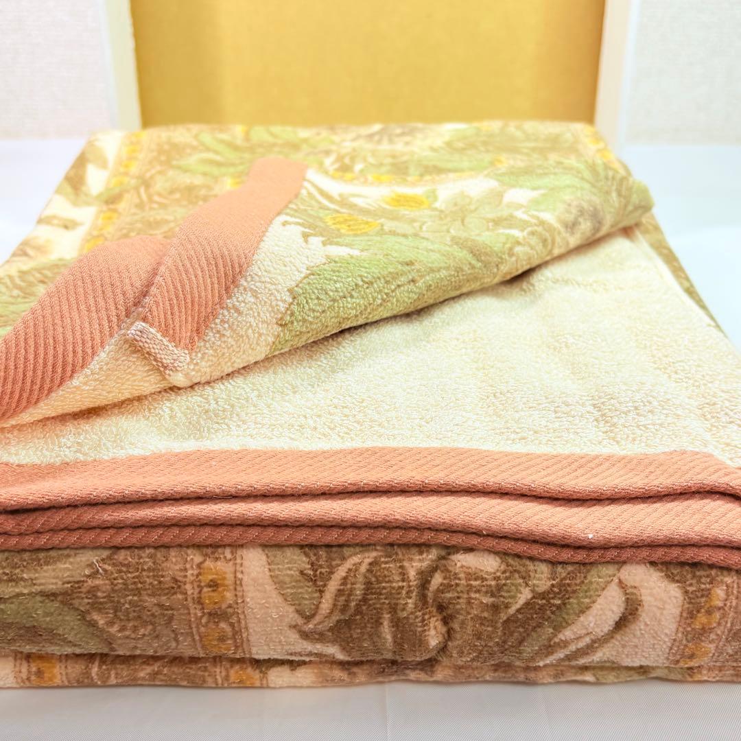 ETRO エトロ　花柄ペイズリー柄　タオルケット　希少デザイン