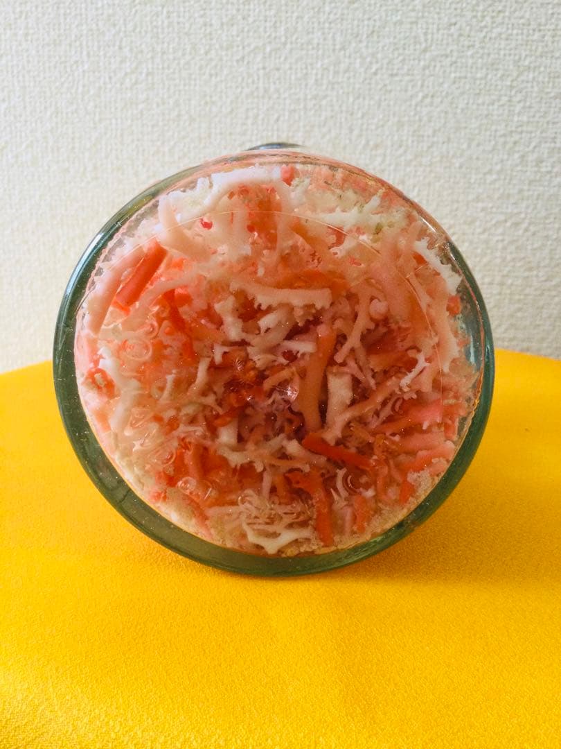 本珊瑚 桃色珊瑚　瓶詰め 原木 枝 置物　インテリア　ピンクサンゴ　コーラル