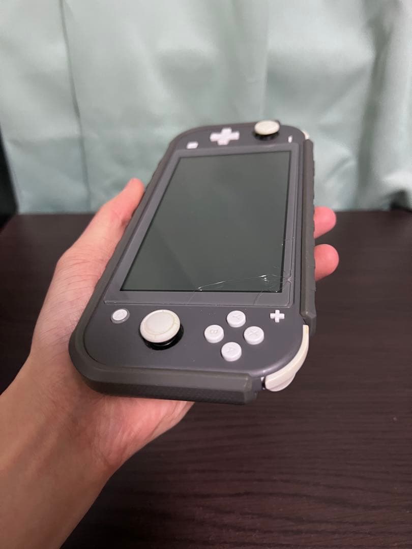 Nintendo Switch Lite グレー 本体 充電器・ケース付き