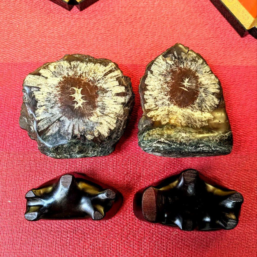 菊花石 岐阜県根尾谷産 双子２石セット 鑑賞石 観賞石 水石 盆石 天然石