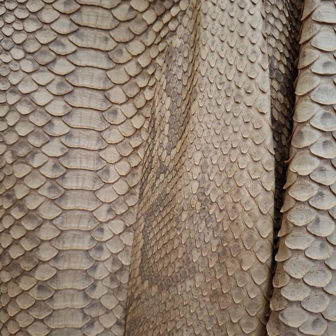 ベージュ パイソン　ヘビ柄 レザージャケット