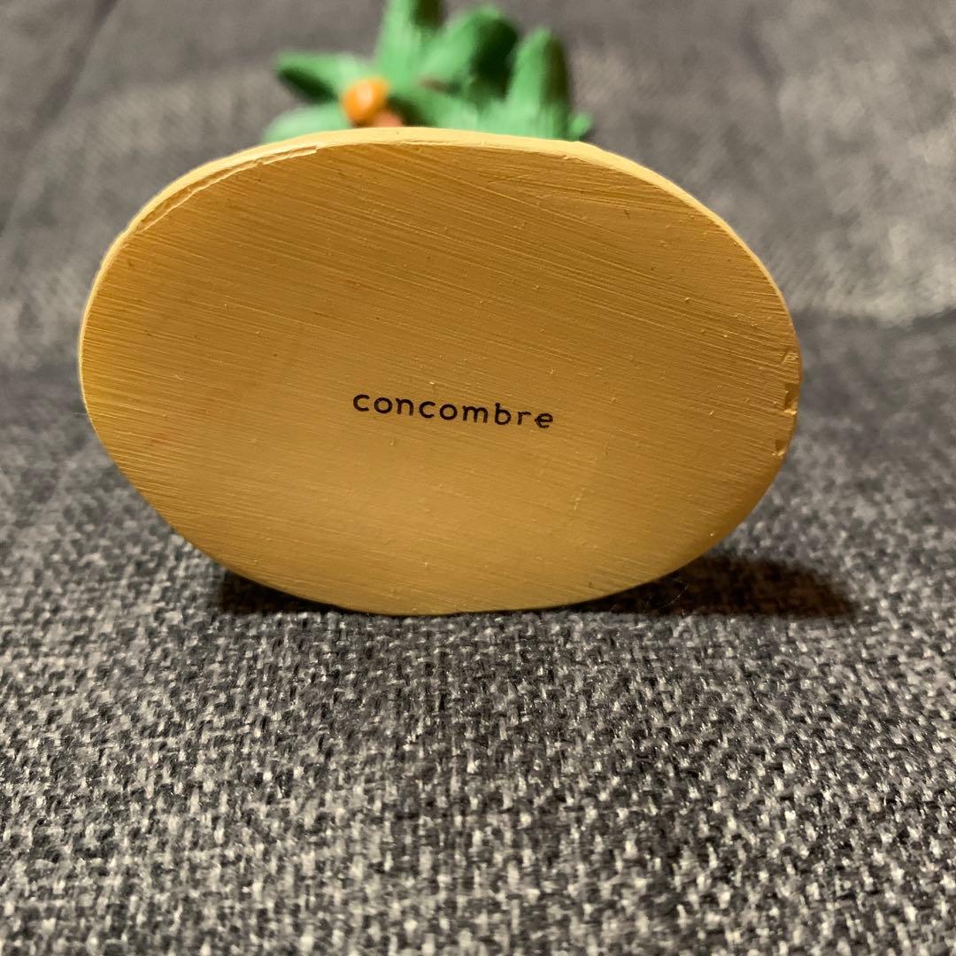 レア!!concombre コンコンブル この木なんの木やしの木