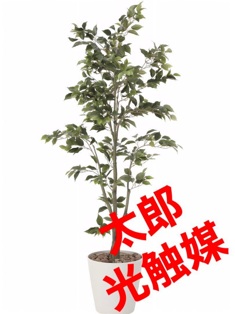 光触媒　人工観葉植物　ウォールグリーン　フェイクグリーン　フィカスツリー1.8m