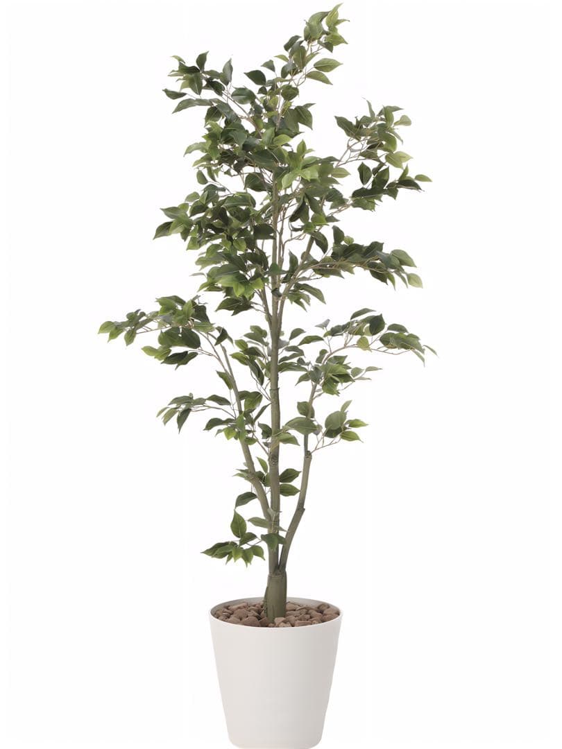 光触媒　人工観葉植物　ウォールグリーン　フェイクグリーン　フィカスツリー1.8m