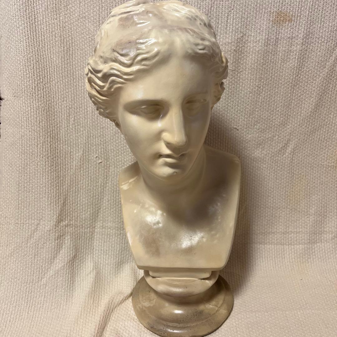 ミロのヴィーナス像(石膏ではなく、もっと軽い素材アグリッパ