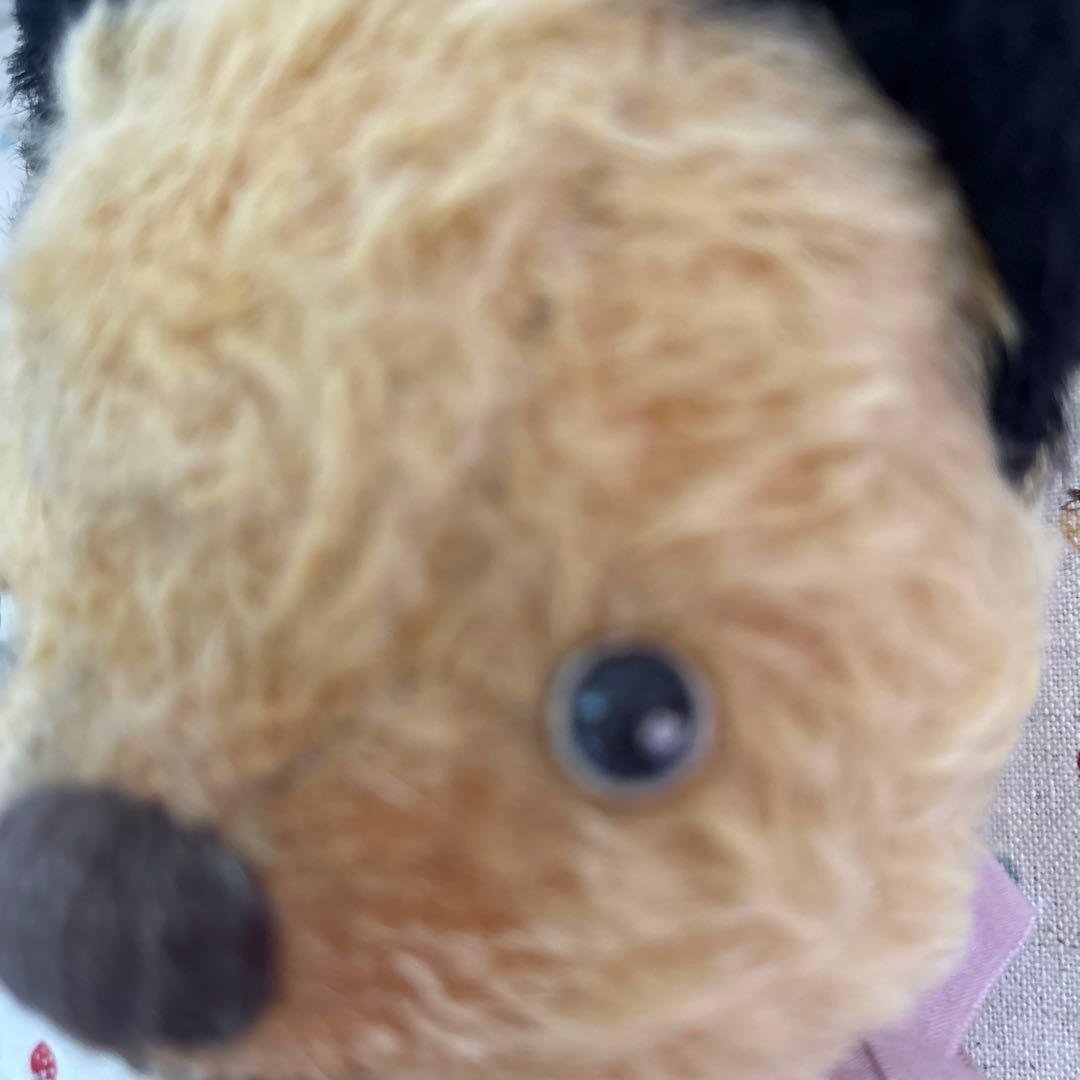 黒*コ様 ヒッピーココさん　黒耳ベア