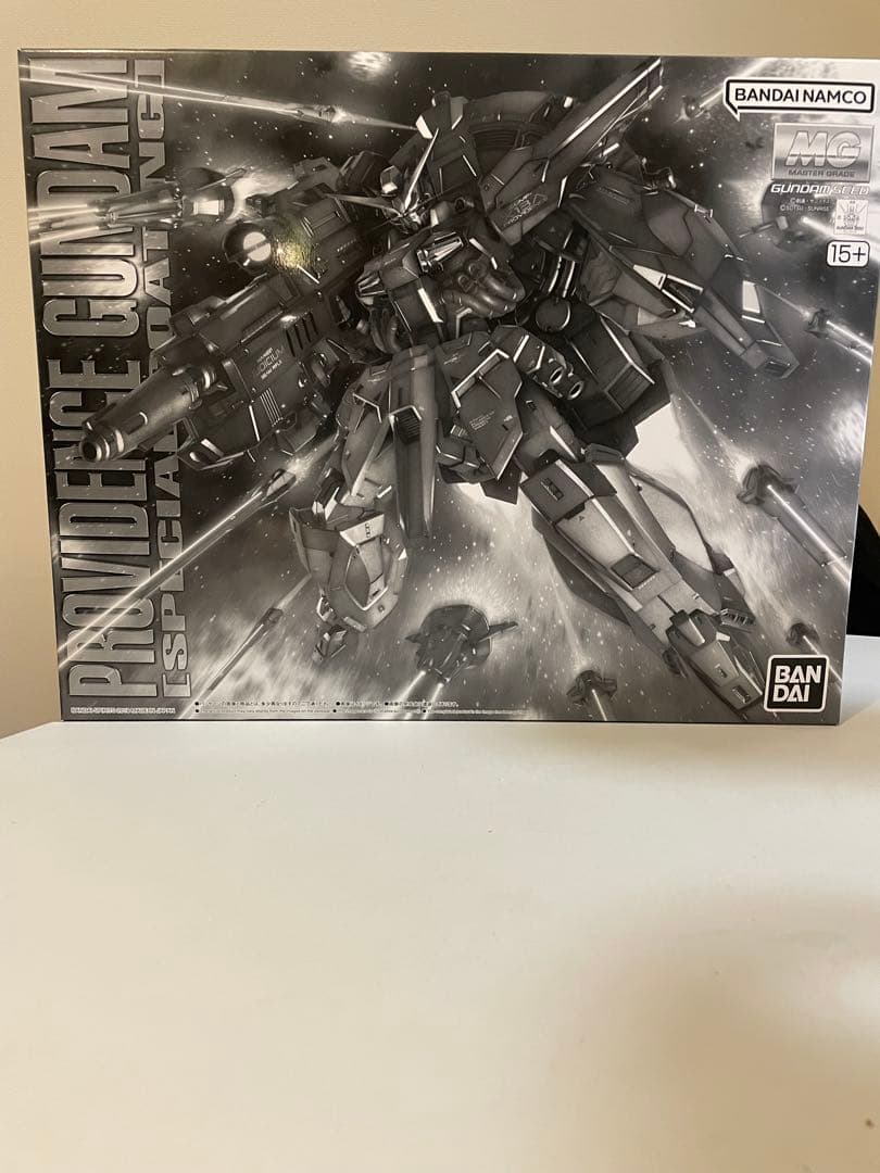 MG プロヴィデンスガンダム [スペシャルコーティング]
