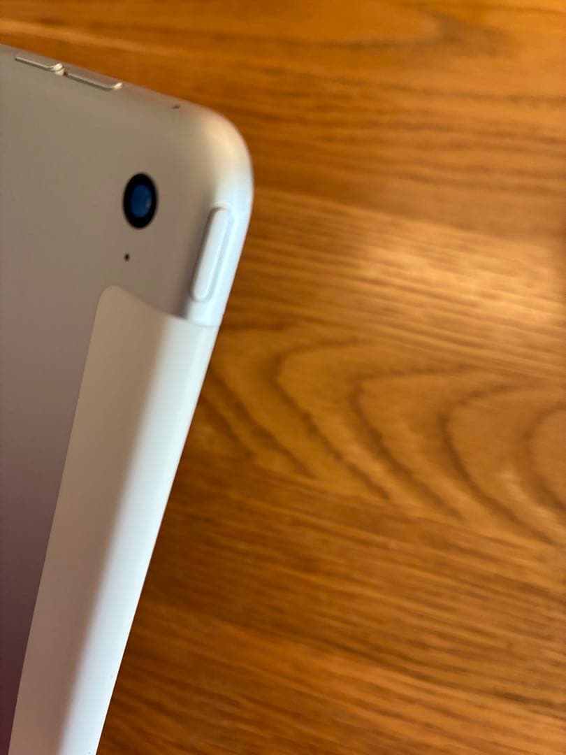 iPad mini4 64gb シルバー　Wi-Fiセルラー　美品