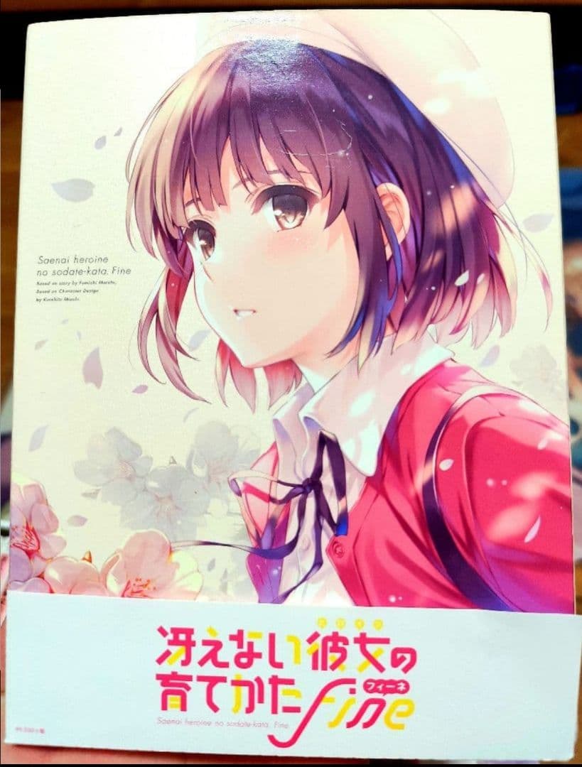 【破格まとめ売り】冴えない彼女の育てかた全巻BOXセット＋特典B2ポスター＋画集