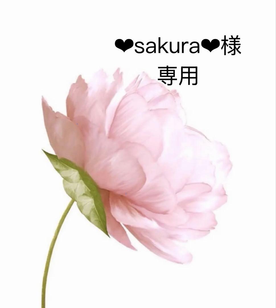 ❤︎sakura❤︎