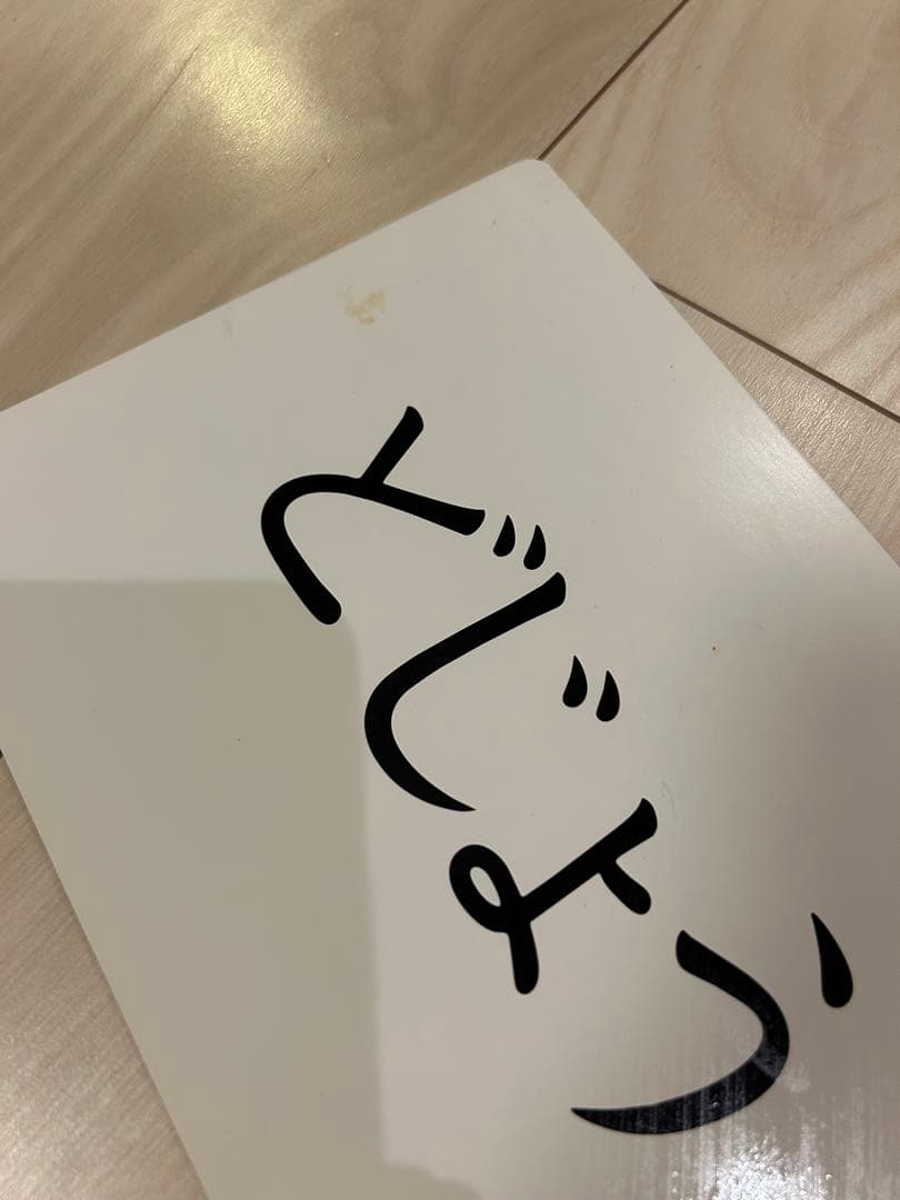 かな絵ちゃん A & B セット