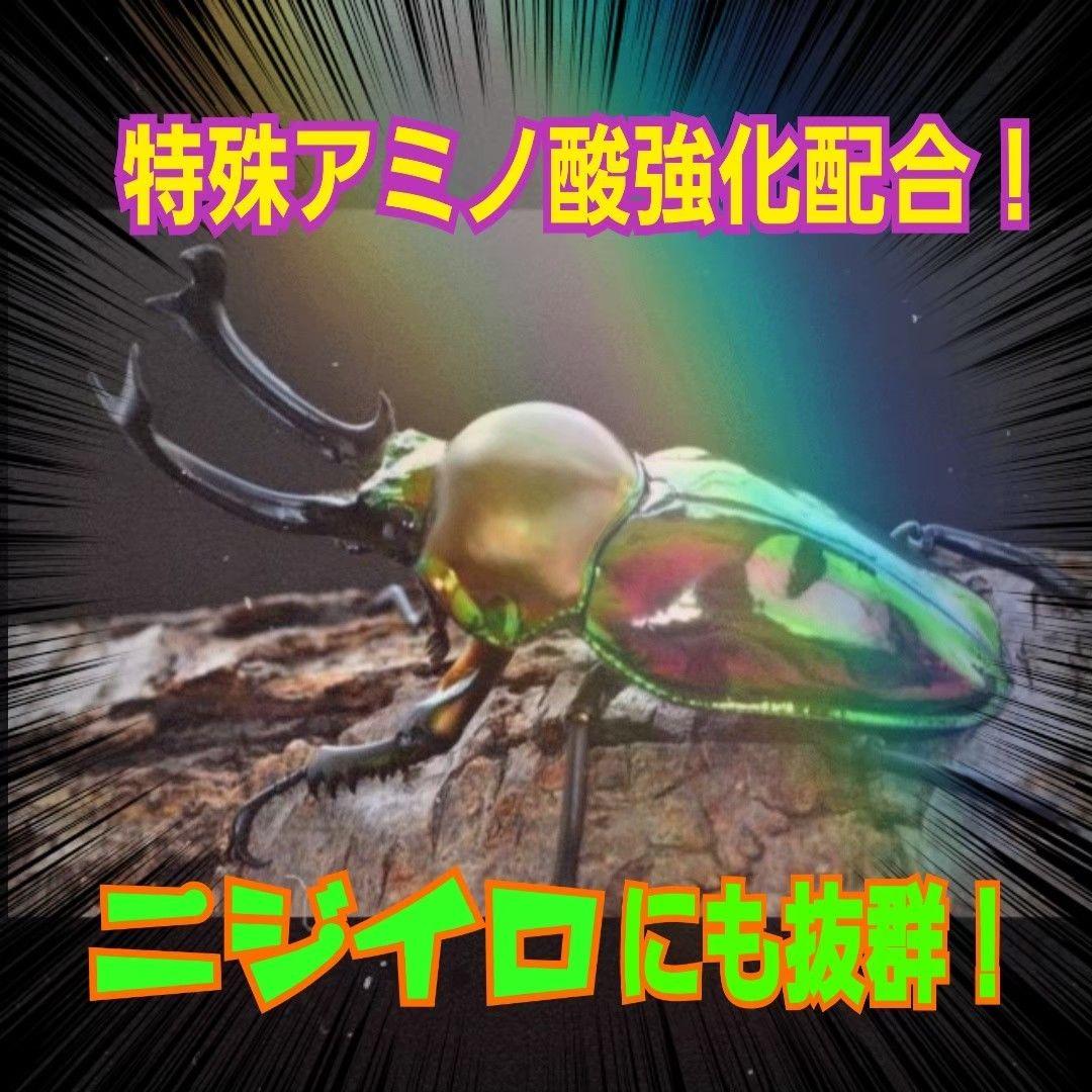 極上！オオヒラタケ菌糸瓶【8本】トレハロース強化配合！オオクワ・ヒラタ・虹色に！